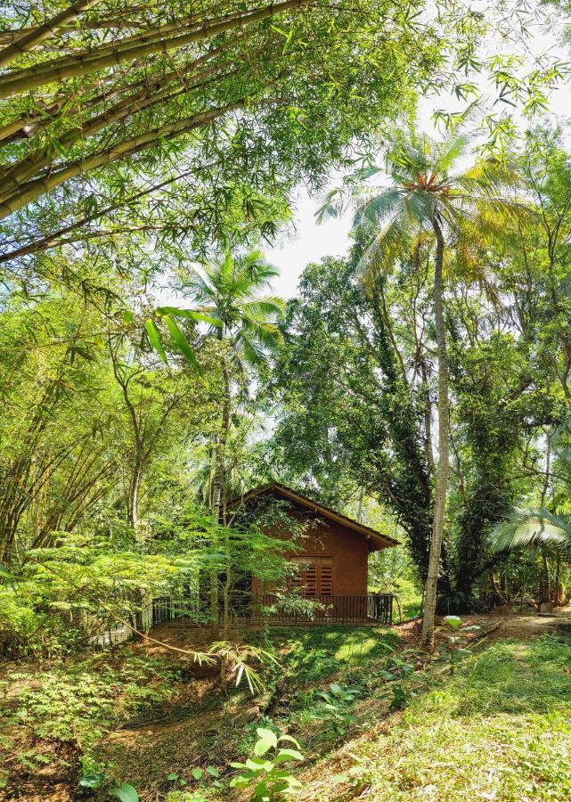 Walawa Dreams Safari Resort Udawalawe Exterior photo